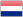 Morel in Dutch